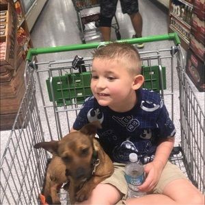 Meet your Posher, Jake